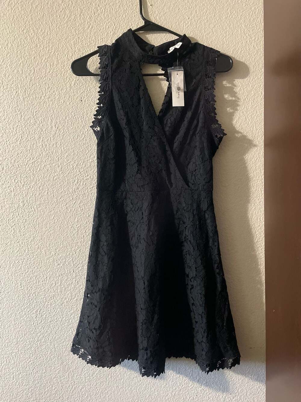 Francesca's Black Lace Mock Neck Open Back Skater Mini Dress